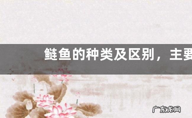 鲢鱼的种类及区别,主要为白鲢鱼、花鲢鱼及长丰鲢鱼