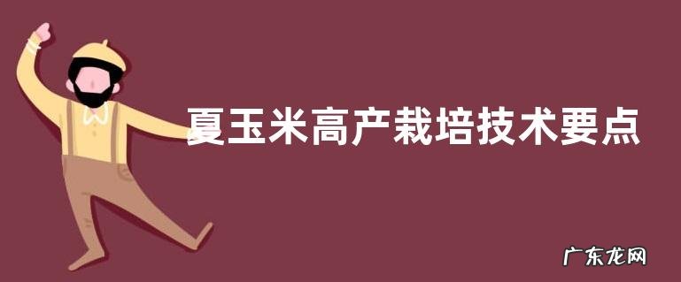 夏播玉米种植技术及注意事项 夏玉米高产栽培技术要点