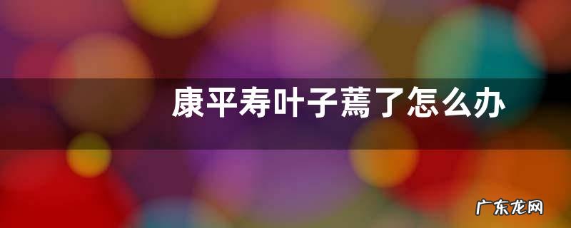 康平寿叶子蔫了怎么办