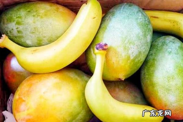 乙烯利催熟的使用方法