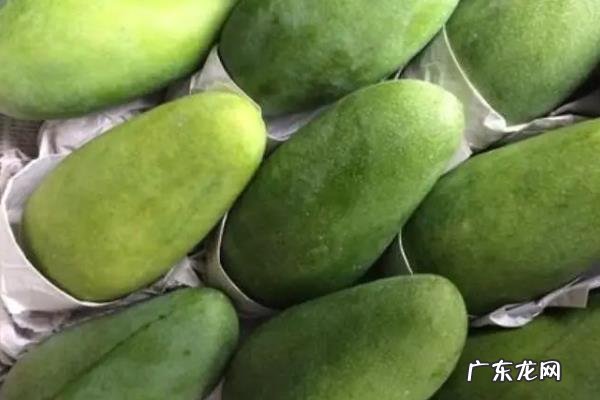 乙烯利催熟的使用方法