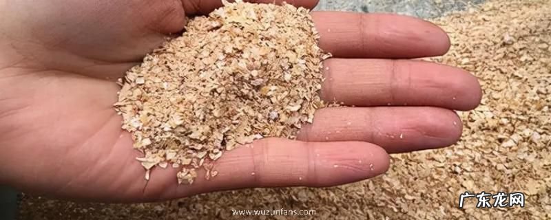 小鸡饲料钓鱼经典配方