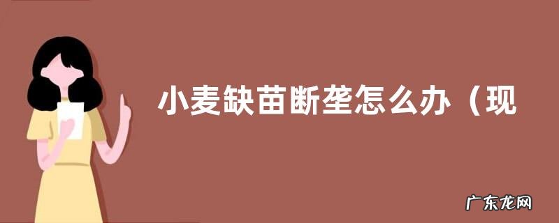现在有缺苗断垄的麦田补种时间 小麦缺苗断垄怎么办