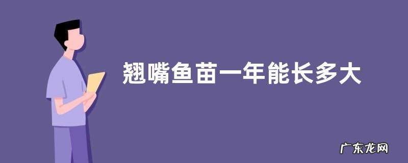 翘嘴鱼苗一年能长多大