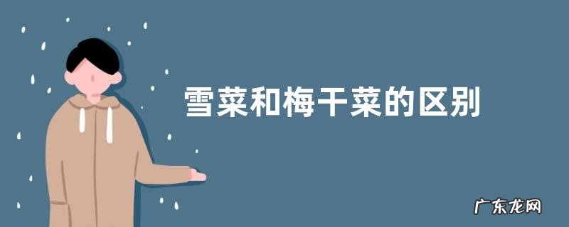 雪菜和梅干菜的区别