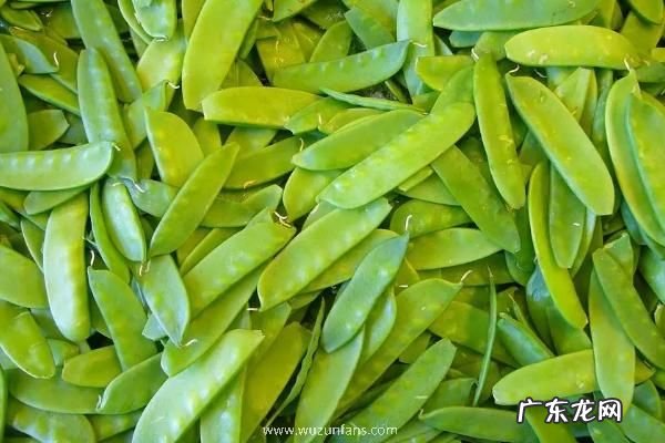 秋天适合种什么农作物