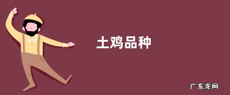 土鸡品种