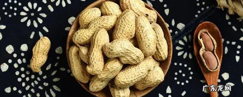 花生出油了怎么处理