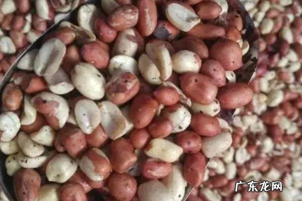 花生出油了怎么处理