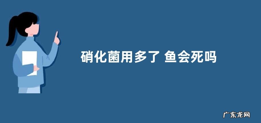 硝化菌用多了 鱼会死吗