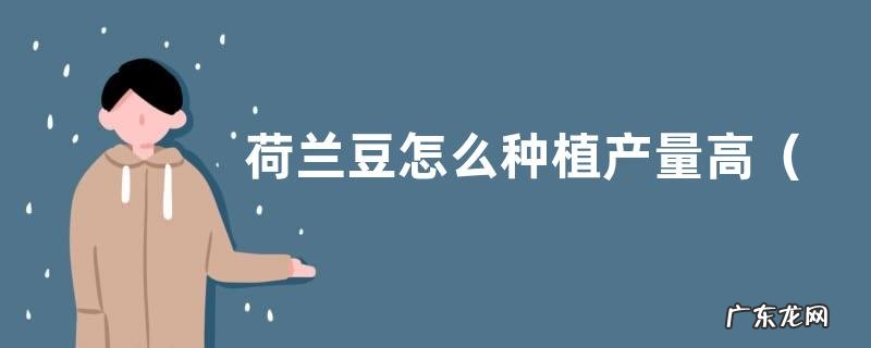 荷兰豆种植时间和栽培方法 荷兰豆怎么种植产量高