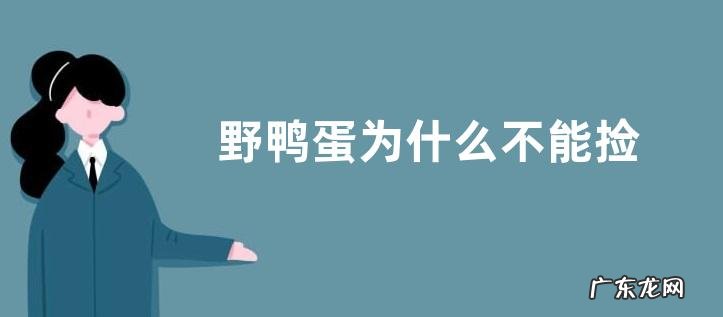 野鸭蛋为什么不能捡