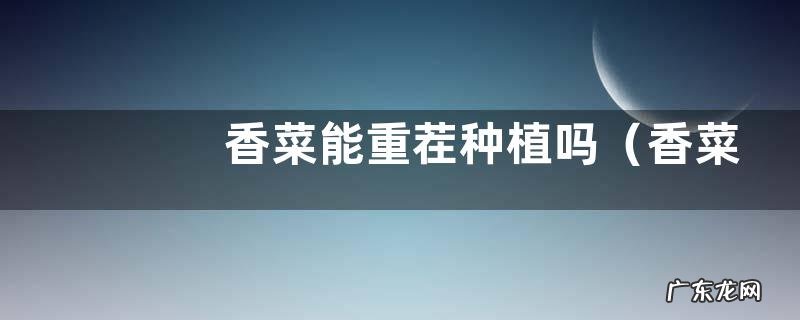 香菜种一年再隔几年不影响产量 香菜能重茬种植吗