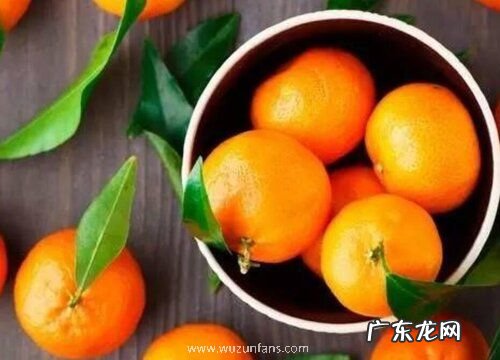 柑橘哪个品种好