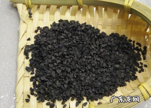 大葱种子什么时候种植最好