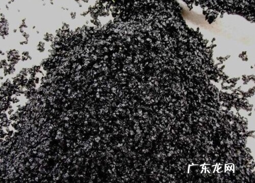 大葱种子什么时候种植最好
