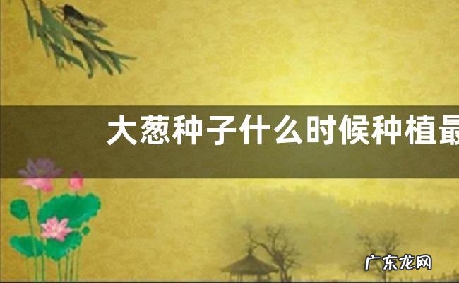 大葱种子什么时候种植最好