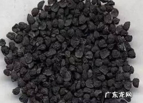 大葱种子什么时候种植最好