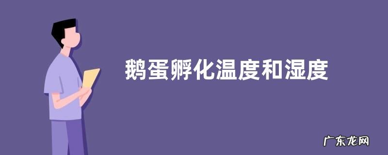 鹅蛋孵化温度和湿度