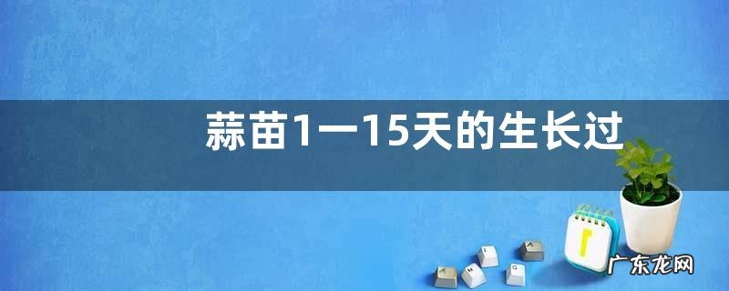 蒜苗1一15天的生长过程记录