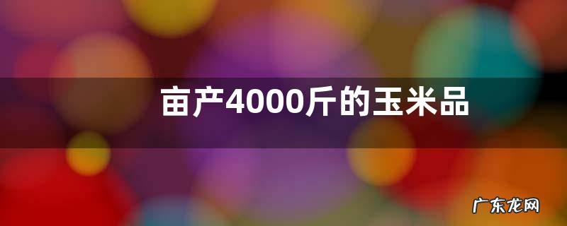 亩产4000斤的玉米品种