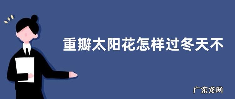 越冬前需要修剪吗 重瓣太阳花怎样过冬天不冻死