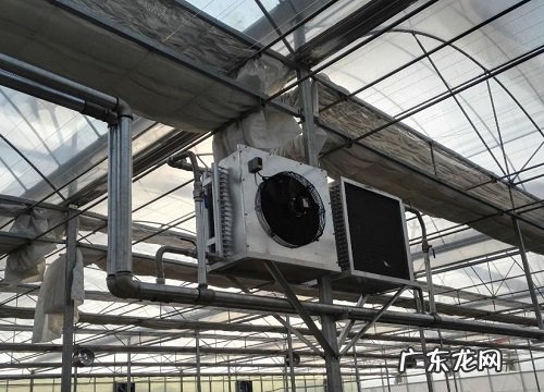 冬天大棚用什么取暖最好 温室大棚用什么加温最好