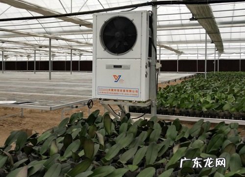 冬天大棚用什么取暖最好 温室大棚用什么加温最好