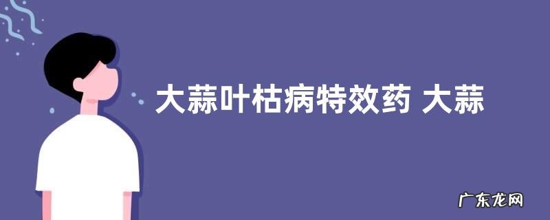大蒜叶枯病特效药 大蒜叶枯病症状病因及防治方法