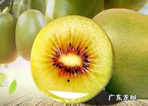 猕猴桃的皮怎么剥才最方便 猕猴桃快速去皮4个小妙招