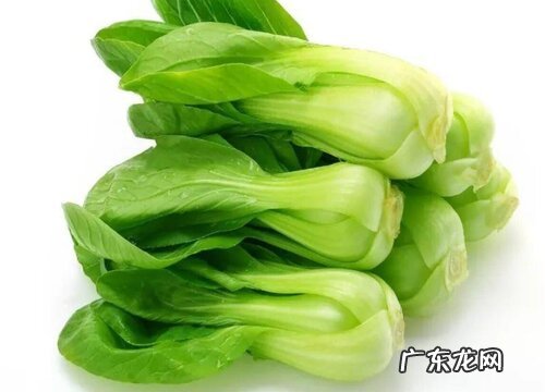 绿叶子蔬菜有哪些 常见的绿色叶子菜名称大全