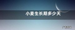 小麦生长期多少天