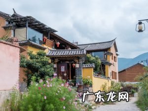 怎么能完全消灭家里红蚂蚁