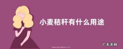 小麦秸秆有什么用途