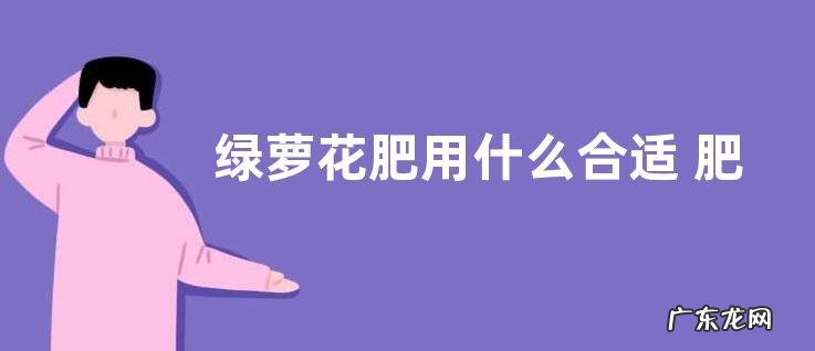 绿萝花肥用什么合适 肥料制作与使用方法