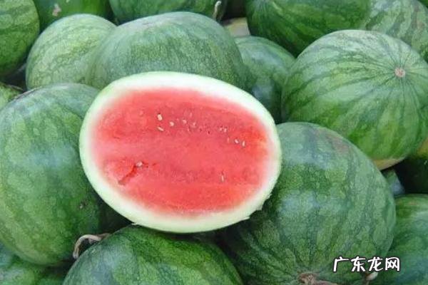 无籽西瓜有籽吗