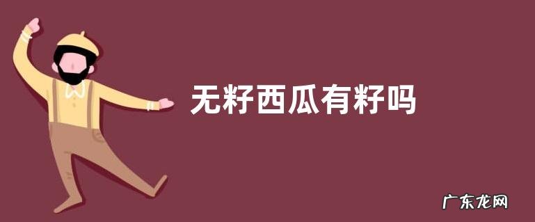 无籽西瓜有籽吗