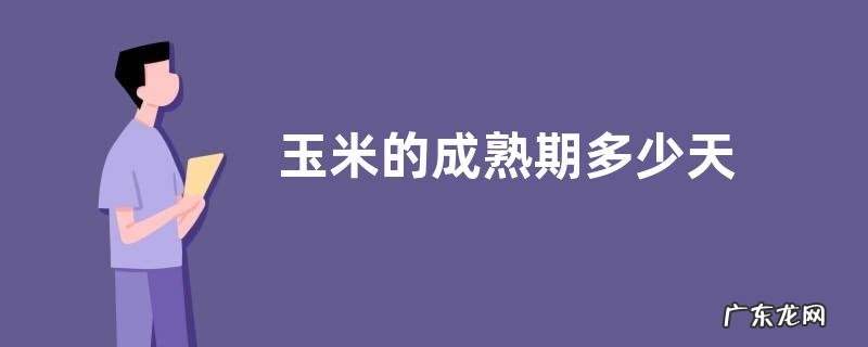 玉米的成熟期多少天