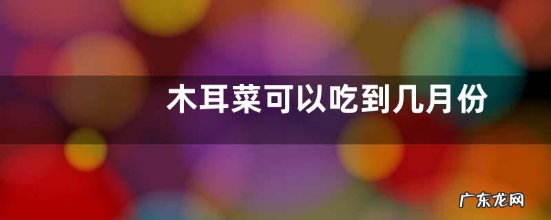 木耳菜可以吃到几月份