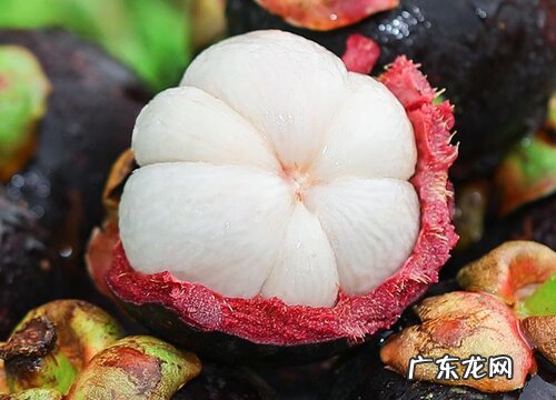 吃什么败火最快有效水果 吃什么水果降火气最快