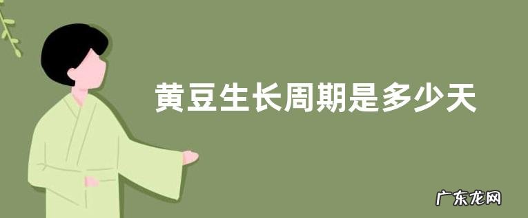 黄豆生长周期是多少天