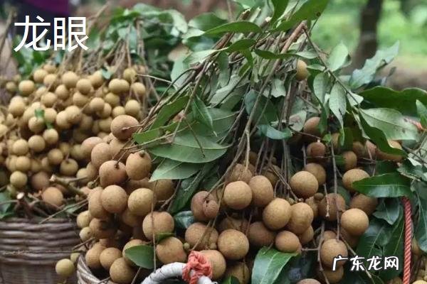 西瓜是什么季节的水果