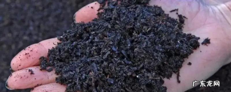 撒完草木灰后需要浇水吗