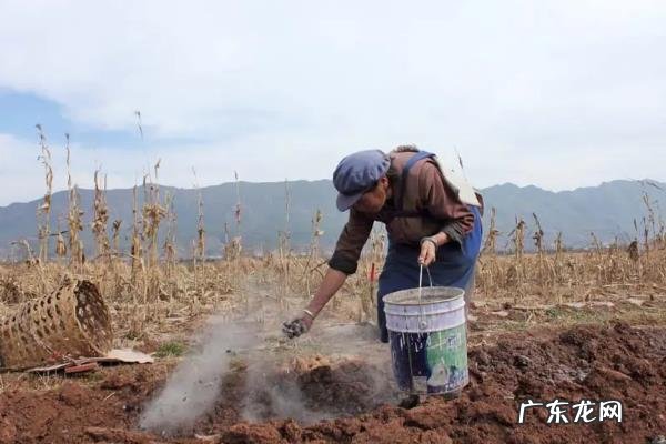 撒完草木灰后需要浇水吗