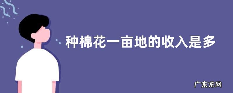 种棉花一亩地的收入是多少钱 种一亩棉花成本与利润