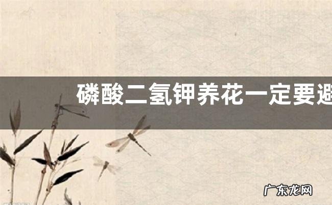 磷酸二氢钾养花一定要避开的误区