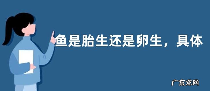 鱼是胎生还是卵生，具体怎么繁殖