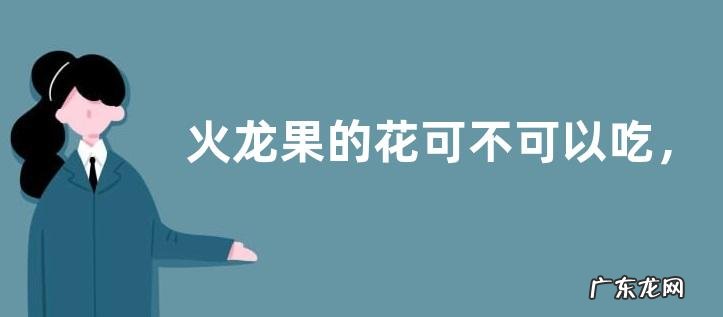 火龙果的花可不可以吃,附火龙果的花期