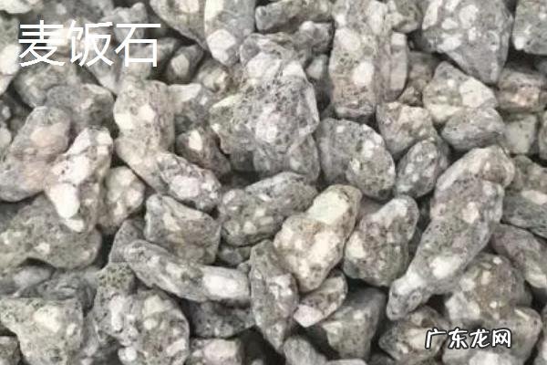 锦鲤过滤用什么材料好