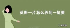 莫斯一片怎么养到一缸要多久 莫斯片直接放缸养行吗